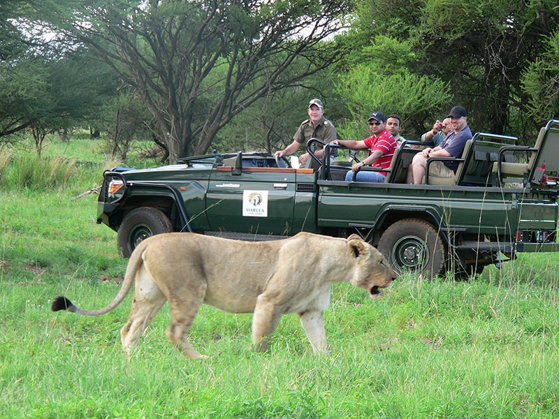 Du Lịch Nam Phi - Vùng Đất Kim Cương: Cape Town - Johannesburg - Sun City -  Pretoria 8 Ngày 7 Đêm | Hoàng Việt Travel