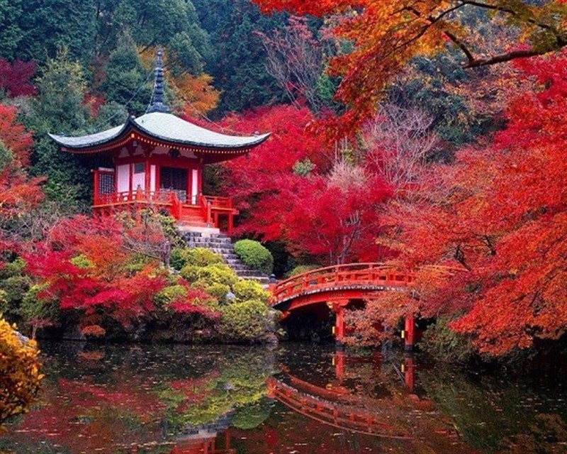 CẢNH SẮC MÙA THU RỰC RỠ TẠI CÁC ĐIỂM NGẮM LÁ ĐỎ NỔI TIẾNG Ở KYOTO