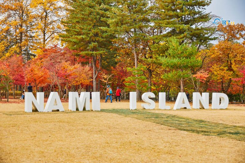 Dòng chữ Nami Island lớn màu trắng trên bãi cỏ trước rừng cây lá thu đỏ vàng