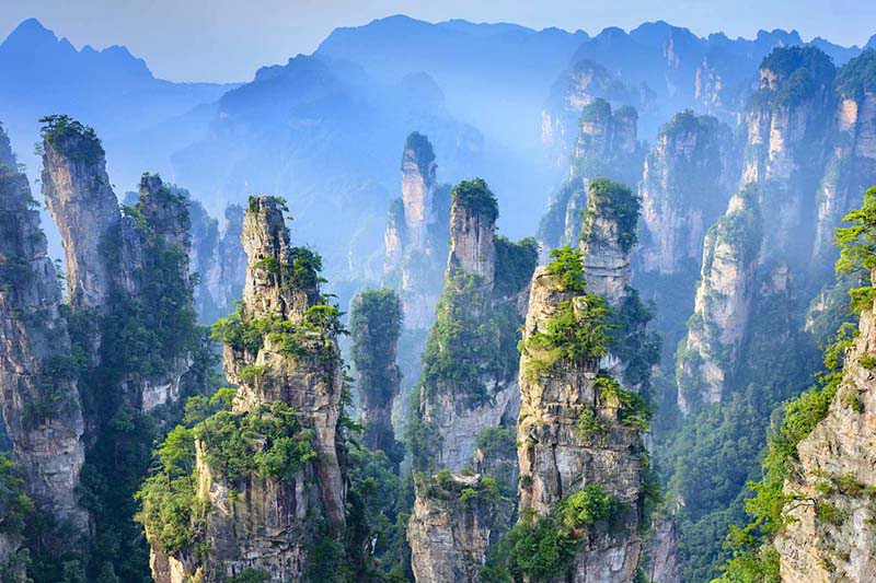 Những cột đá sa thạch phủ cây xanh vươn cao trong sương mù xanh nhạt