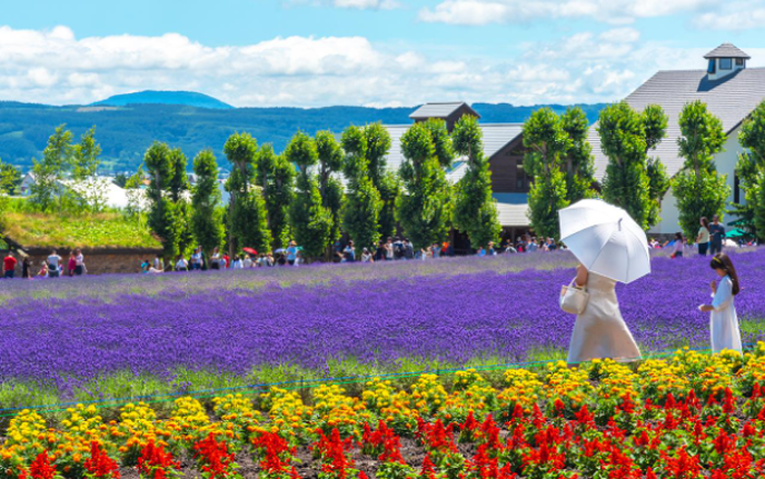 Tour-du-lich-hokkaido-mua-he