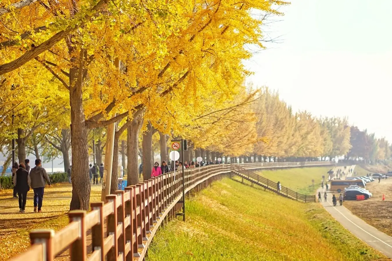 Tour Hàn Quốc Mùa Thu 6N5Đ: Busan – Seoul – Đảo Nami – Incheon – Trải Nghiệm Đi Phà Ngắm Hải Âu Bay Vietjet Air