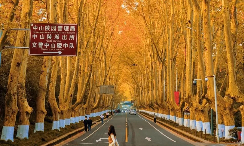 Tour Thượng Hải Dương Châu Nam Kinh 6 Ngày 5 Đêm Trọn Gói Tour Thượng Hải Dương Châu Nam Kinh 6 Ngày 5 Đêm Trọn Gói