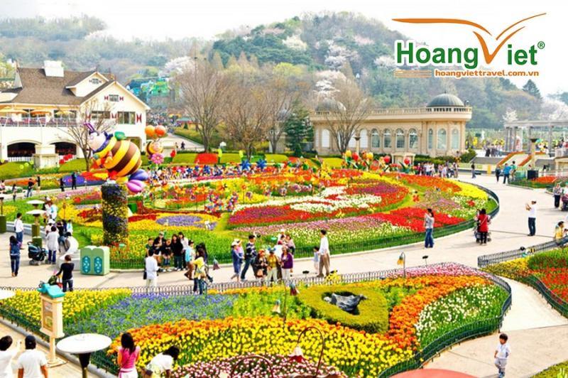 Vườn hoa tulip rực rỡ trong công viên giải trí, du khách đi dạo giữa các nhà nhiều màu