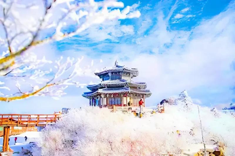 Kiến trúc truyền thống Hàn Quốc giữa khung cảnh tuyết trắng mùa đông