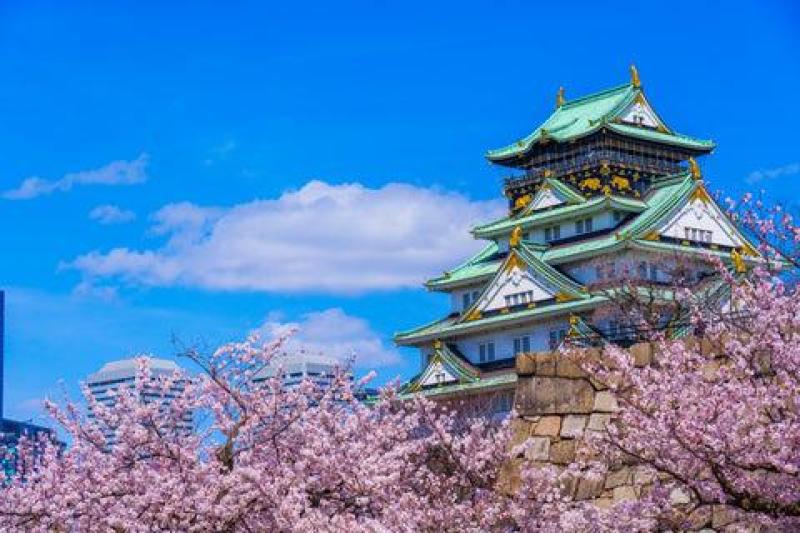 Lâu đài Osaka và hoa anh đào mùa xuân
