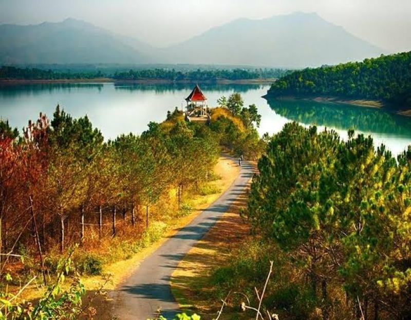 Cảnh hồ và con đường giữa rừng thông Tây Nguyên