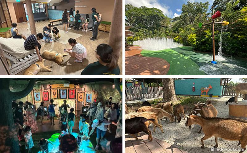 Ảnh ghép từ bốn hình ảnh: người vuốt ve chó trong nhà, trẻ em chơi ở công viên nước có đài phun nước, trẻ em khám phá triển lãm tương tác và dê gặm cỏ ngoài trời.