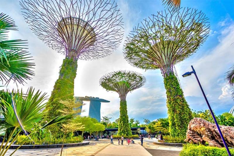 Bí ẩn bên trong khu vườn sinh thái Bay South Garden khổng lồ