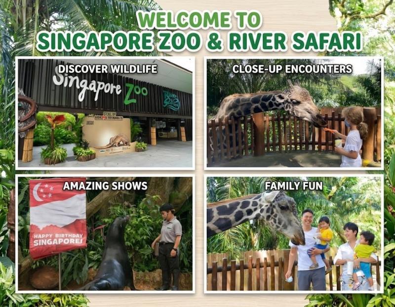 Biểu ngữ "Chào mừng đến với Vườn thú Singapore" gồm bốn hình ảnh: lối vào, một em bé cho hươu cao cổ ăn, màn trình diễn của hải cẩu với người huấn luyện, và một gia đình chụp ảnh cùng hươu cao cổ bên cạnh.