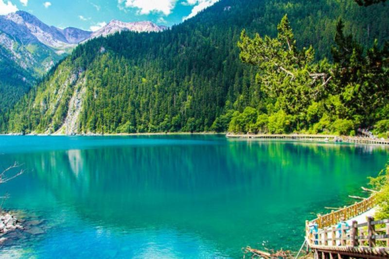 hồ trường hải - hoàng việt travel