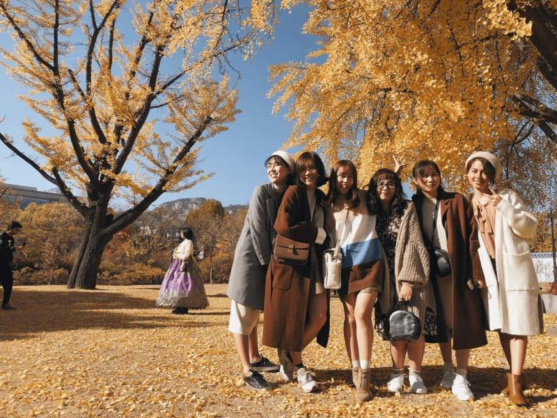 trải nghiệm du lịch hàn quốc mùa thu - hoàng việt travel