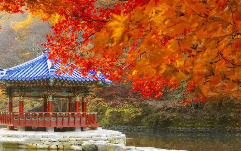 Công viên quốc gia Naejangsan mùa thu - hoàng việt travel