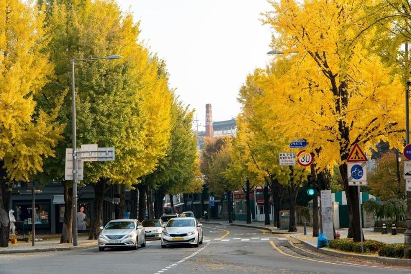 Gợi ý 5 điểm đến thú vị ở Incheon mà bạn không thể bỏ lỡ | TGROUP Thương mại và Du lịch Hàn Việt