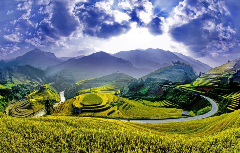 Ruộng bậc thang xã Chế Cu Nha đẹp tuyệt sắc mỗi khi mùa vàng gõ cửa