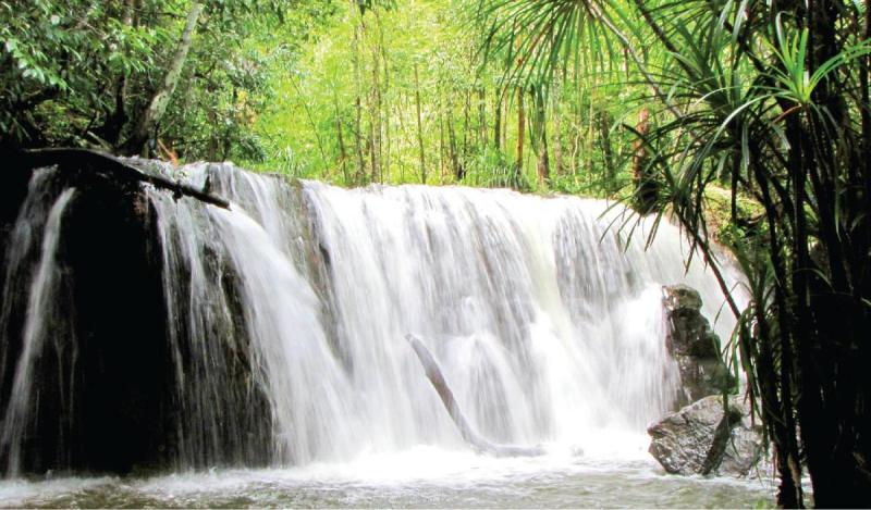 Tìm hiểu sơ về khu du lịch Suối Tranh Phú Quốc