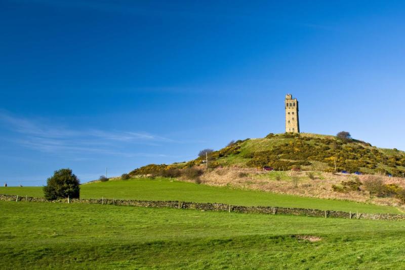 Castle Hill Field Guides | University of Canterbury