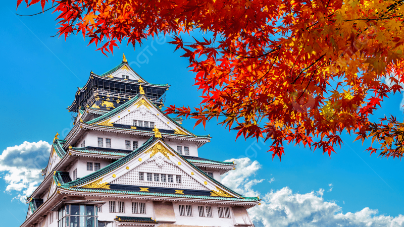 lâu đài Osaka rực sắc thu - Hoàng Việt Travel