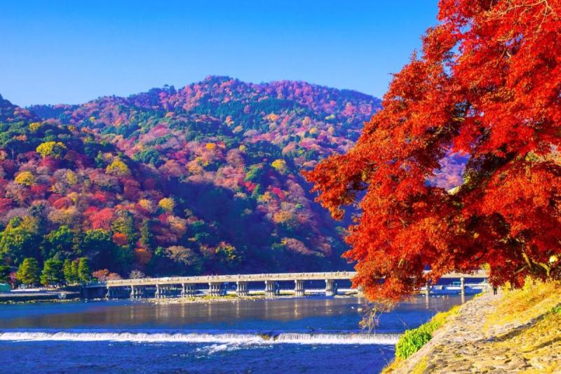 Cây cầu Togetsukyo vào mùa lá đỏ - Hoàng Việt Travel