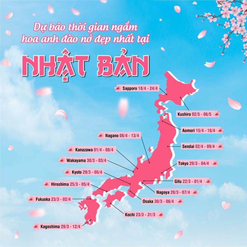 Tour nhật bản mùa hoa anh đào - hoàng việt travel