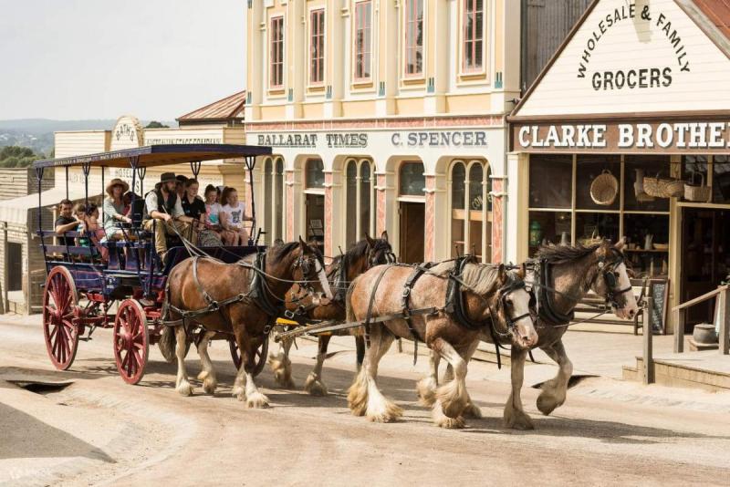 Cỗ xe ngựa chở du khách đi qua con phố cổ thời đào vàng ở Sovereign Hill.