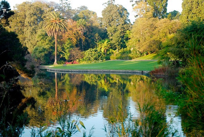 Vườn Royal Botanic Garden
