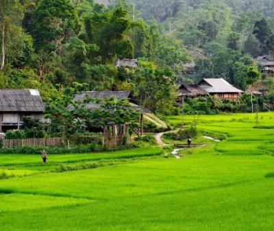 Du lịch Tây Bắc ĐIỆN BIÊN - A PA CHẢI - MƯỜNG PHĂNG