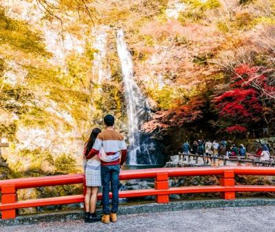 Tour Du Lịch Nhật Bản Mùa Thu 6 Ngày 5 Đêm: Cung Đường Vàng Rực Rỡ 