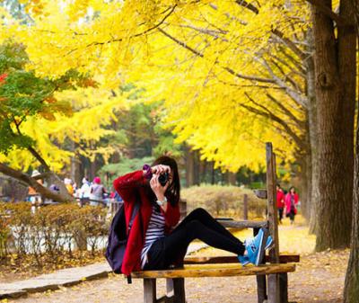 Tour Du Lịch Nhật Bản Mùa Thu Từ Hà Nội: Osaka – Kobe – Kyoto – Núi Phú Sĩ – Tokyo
