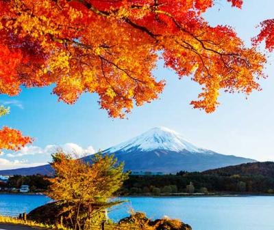 Tour Nhật Bản mùa thu 6N5D: Osaka - Phú Sĩ - Tokyo