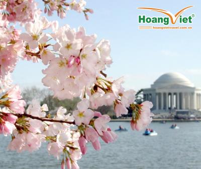 CHÀO ĐÓN MÙA HOA ANH ĐÀO LIÊN TUYẾN ĐÔNG TÂY HOA KỲ 2026 BAY CHINA AIRLINES 