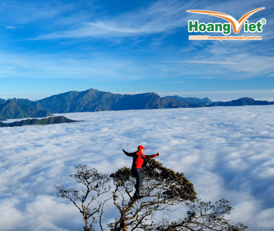 CHƯƠNG TRÌNH DU LỊCH KHÁM PHÁ MỘC CHÂU - TÀ XÙA 