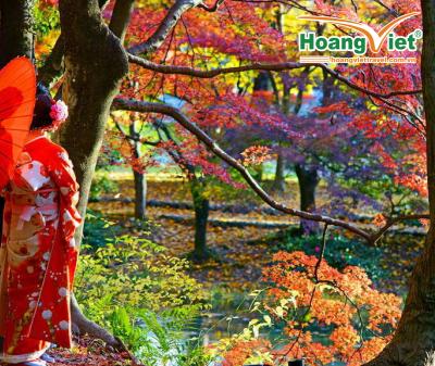CHƯƠNG TRÌNH DU LỊCH TẠI NHẬT BẢN HÀ NỘI – TOKYO – HAKONE - FUJI.MT 5N4Đ BAY VJ 