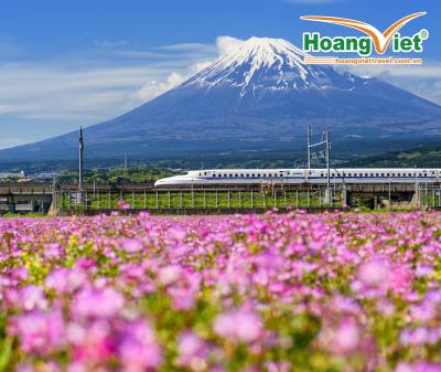 CUNG ĐƯỜNG VÀNG NHẬT BẢN 2026: KOBE – OSAKA – KYOTO – NAGOYA – PHÚ SĨ – TOKYO NO SHOPPING