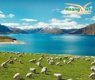 DU LỊCH NEW ZEALAND VÙNG ĐẤT CỦA DẢI MÂY TRẮNG (ĐẢO BẮC) BAY MALAYSIA AIRLINES