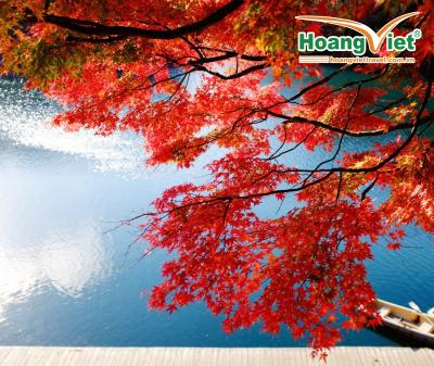 DU LỊCH NHẬT BẢN MÙA LÁ ĐỎ HÀ NỘI – TOKYO - HAKONE – PHÚ SĨ – TOKYO-  HÀ NỘI 