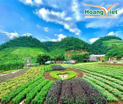 DU LỊCH TÂY BẮC SƠN LA – ĐIỆN BIÊN – MỘC CHÂU 