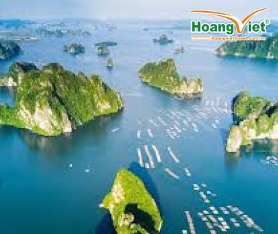 DU LỊCH VỊNH HẠ LONG 2 NGÀY 1 ĐÊM CÙNG DU THUYỀN APRICOT