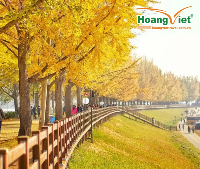 Khám phá mùa thu Hàn Quốc: HÀ NỘI – BUSAN – SEOUL – ĐẢO NAMI – INCHEON- ĐI PHÀ CHO HẢI ÂU ĂN BAY VIETJET AIR