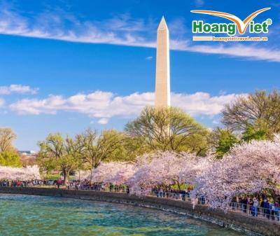 LIÊN TUYẾN ĐÔNG TÂY HOA KỲ  MÙA HOA ANH ĐÀO 2026 TẶNG VÉ VÀO CỬA PHIM TRƯỜNG UNIVERSAL STUSIO VÀ ĐẠI VỰC GRAND CANYON BAY CHINA AIRLINES 5 SAO 