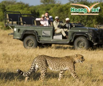 MỘT QUỐC GIA, HAI THẾ GIỚI HOANG DÃ TRỌN BỘ SAFARI TRONG MỘT ĐIỂM ĐẾN! CHƯƠNG TRÌNH NAM PHI  HẤP DẪN NHẤT 2026 BAY SINGAPORE AIRLINES