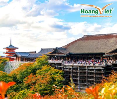 RỰC RỠ MÙA LÁ ĐỎ NHẬT BẢN: HÀNH TRÌNH VÀNG TOKYO- PHÚ SỸ- NAGOYA- KYOTO- OSAKA