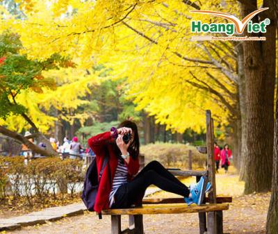 Tour Du Lịch Nhật Bản Mùa Thu Từ Hà Nội: Osaka – Kobe – Kyoto – Núi Phú Sĩ – Tokyo