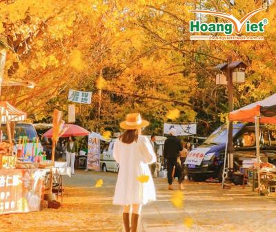 Tour Hà Khẩu Côn Minh Đằng Xung 5n5d: Săn Lá Vàng Làng Ngân Hạnh Noshop