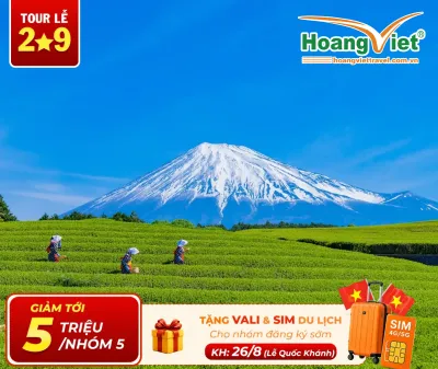 Tour Nhật Bản 5 Ngày 4 Đêm Giá Rẻ: Shizuoka – Núi Phú Sĩ – Tokyo Bay Vietjet Air
