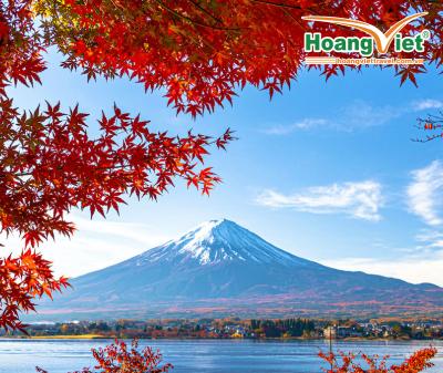 Tour Nhật Bản 6 ngày 5 đêm: Khám Phá Cung Đường Vàng