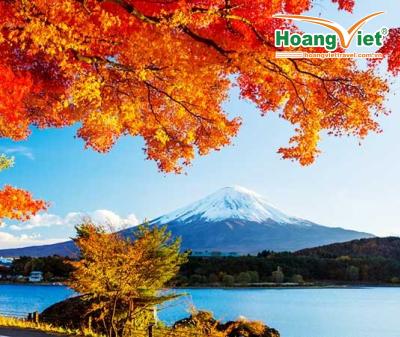 Tour Nhật Bản mùa thu 6N5D: Osaka - Phú Sĩ - Tokyo