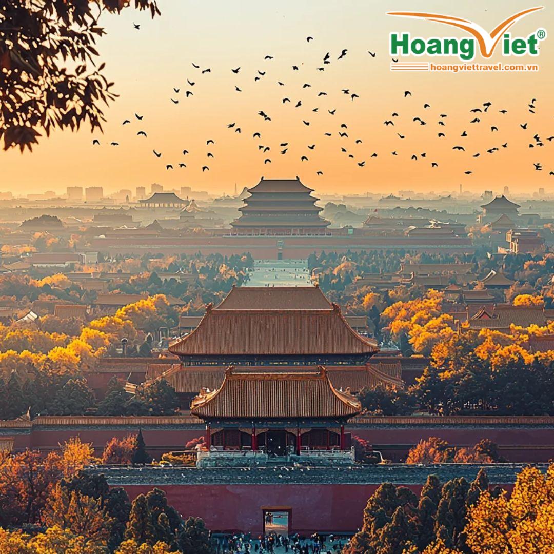 Cảnh hoàng hôn nhìn từ Tử Cấm Thành ở Bắc Kinh, với những mái nhà truyền thống Trung Quốc, tán lá mùa thu rực rỡ và một đàn chim bay lượn trên nền trời màu cam.