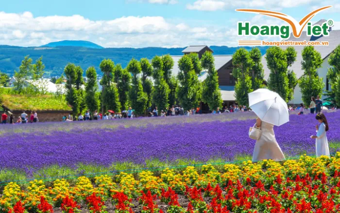 Tour-du-lich-hokkaido-mua-he
