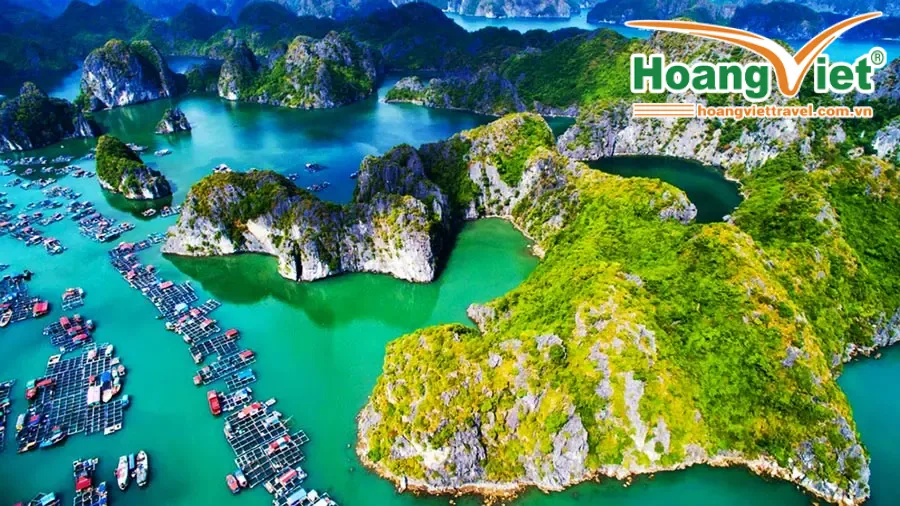 TOUR TEAM BUILDING: HÀ NỘI – ĐẢO CÁT BÀ – VỊNH LAN HẠ - KAYAKING 3N2Đ Team-Building-Cat-Ba-2025